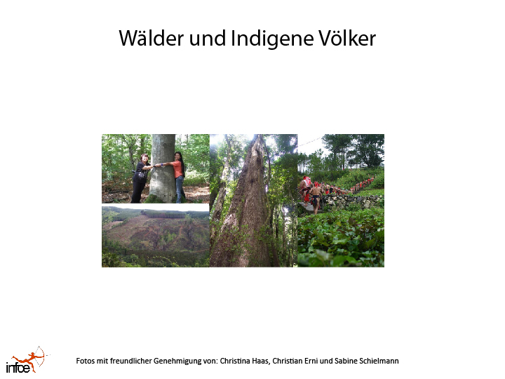 Präsentation: Wälder und Indigene Völker